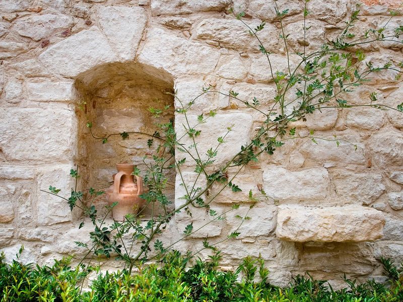 صورة الفندق 16