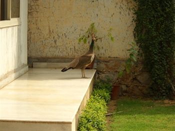 صورة الفندق 11