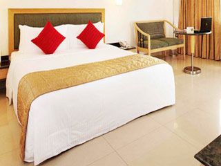 image of hotel Savera Hotel
