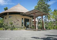 Отзывы Mara River Safari Lodge Bali, 3 звезды