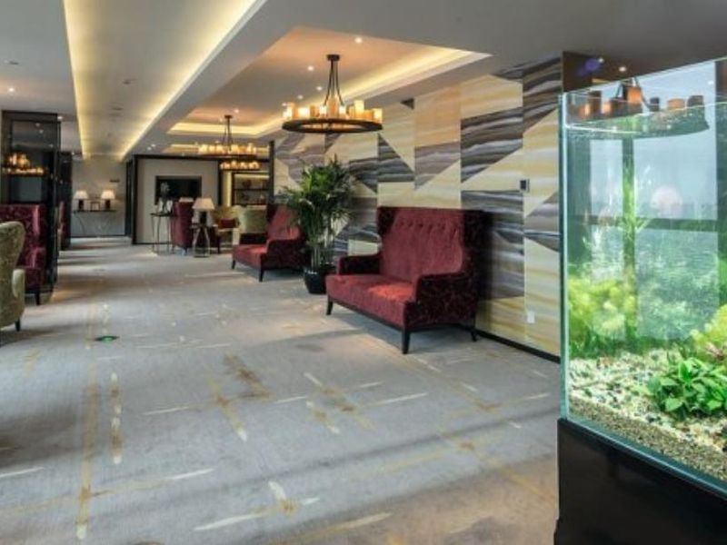 Hotel Photo 10
