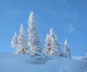 Chalet Jahorinka Jahorina Bosnia And Herzegovina