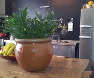 B&B La Gloria No.10 Antwerp Belgium