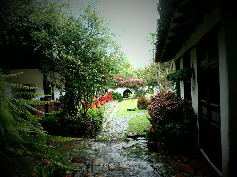 صورة الفندق 23