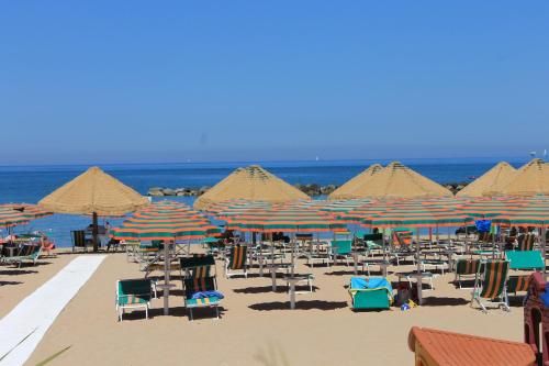 صورة الفندق 24