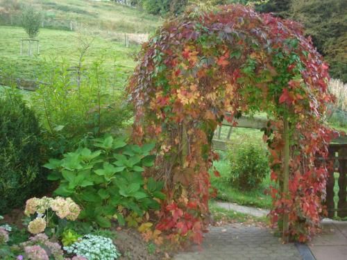 صورة الفندق 7