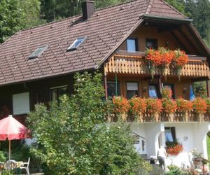 Haus am Wald Baiersbronn Germany