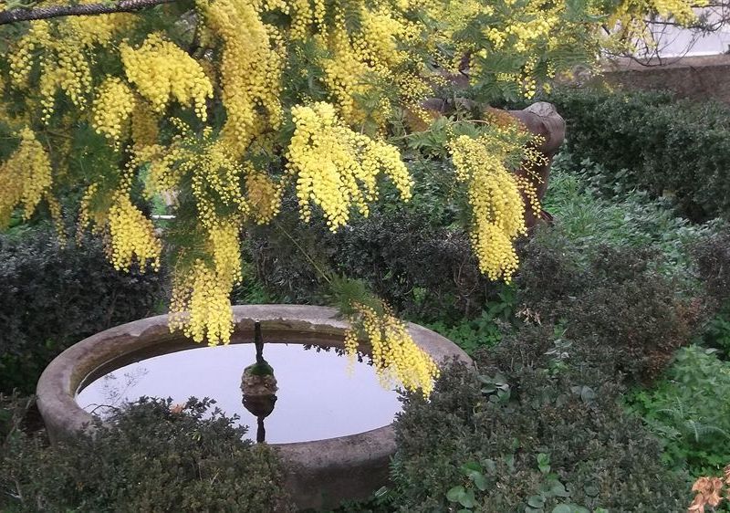 صورة الفندق 15