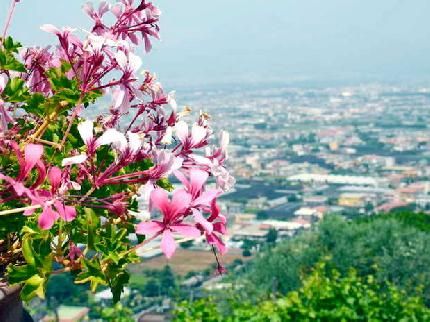 صورة الفندق 19