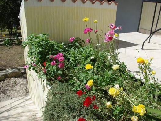 صورة الفندق 19