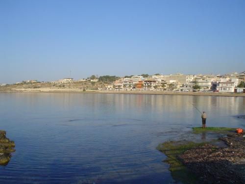 صورة الفندق 23