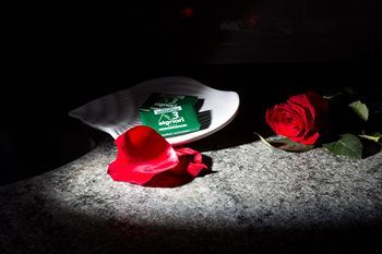 صورة الفندق 20