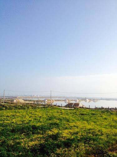 صورة الفندق 15