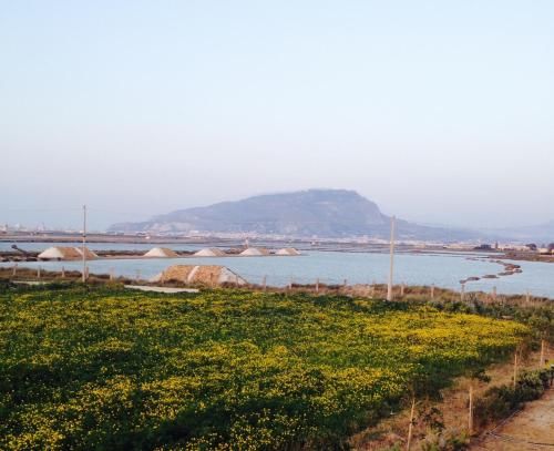 صورة الفندق 16