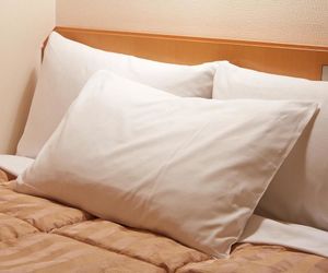 Hotel Roco Inn Matsuyama Naha Japan