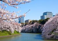 Отзывы The Westin Tokyo, 5 звезд