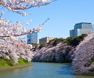 The Westin Tokyo Tokyo Japan