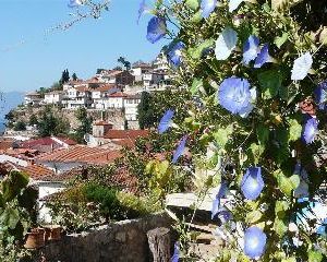 Grebnos Stone House Apartment Ohrid Macedonia