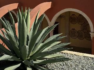 صورة الفندق 21