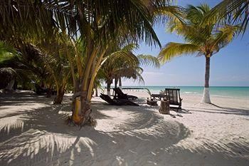 صورة الفندق 24