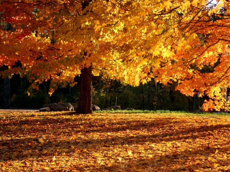 صورة الفندق 20