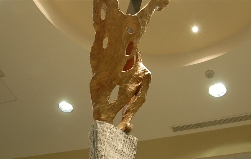 صورة الفندق 22