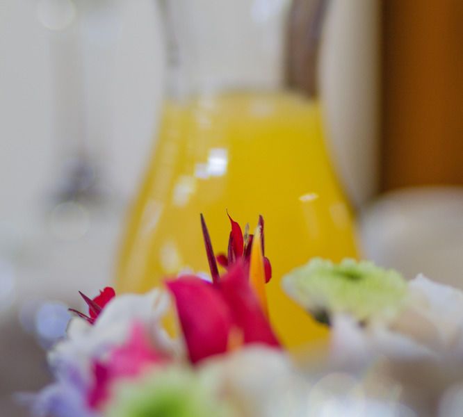 صورة الفندق 13