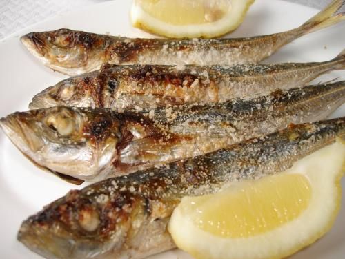 صورة الفندق 13
