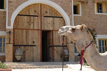 صورة الفندق 24