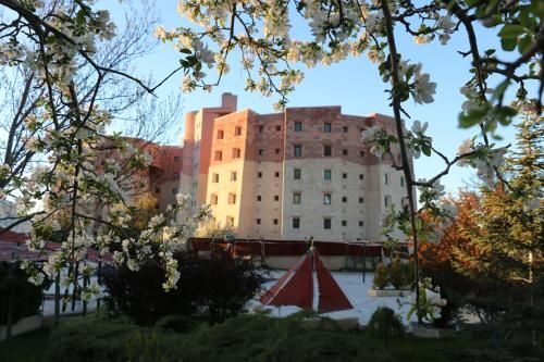 Hotel Photo 23