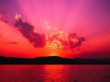 صورة الفندق 23