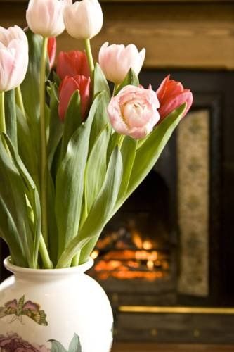 صورة الفندق 19