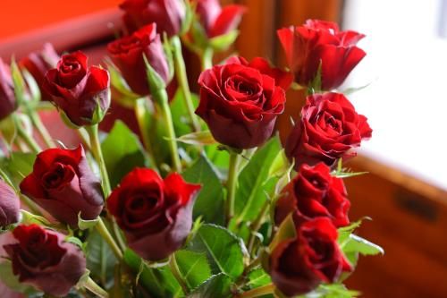 صورة الفندق 12