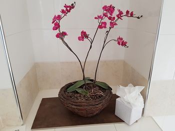 صورة الفندق 9