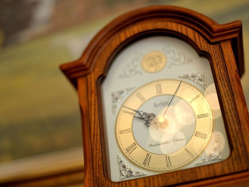 صورة الفندق 18