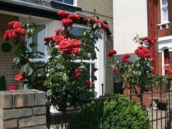 صورة الفندق 9