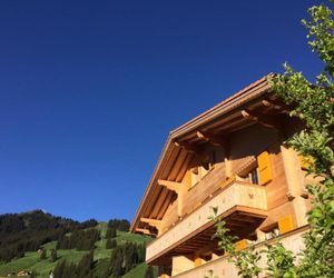 Apartment Butterfly Adelboden Switzerland