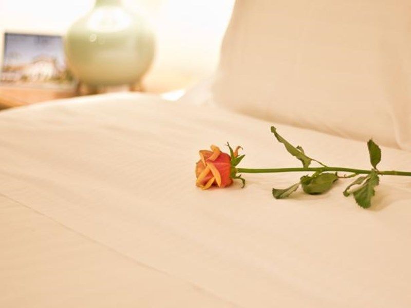 صورة الفندق 17