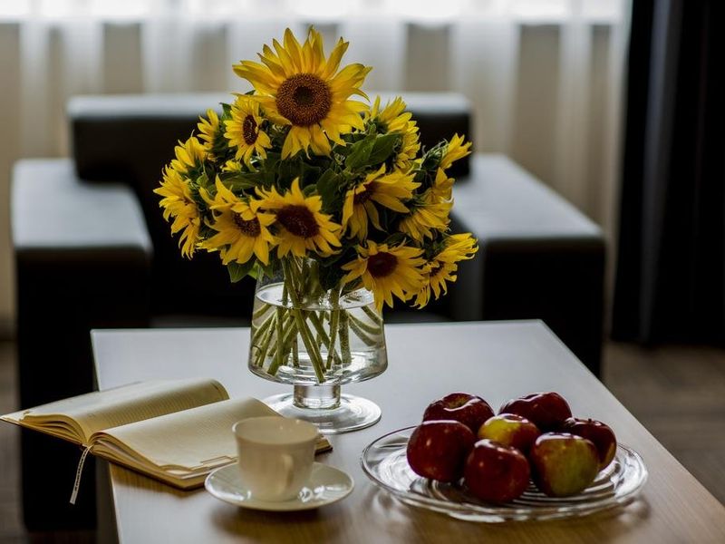 Hotel Photo 12
