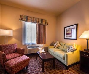 Best Western Tampa Tampa United States