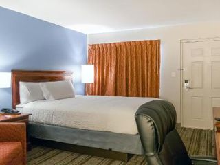 Фото отеля Hotel South Tampa & Suites