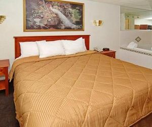 Econo Lodge at Raymond James Stadium Tampa United States