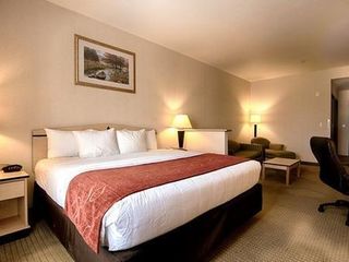 Hotel pic Comfort Inn & Suites Airport Reno