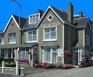 The Three Tees Newquay United Kingdom