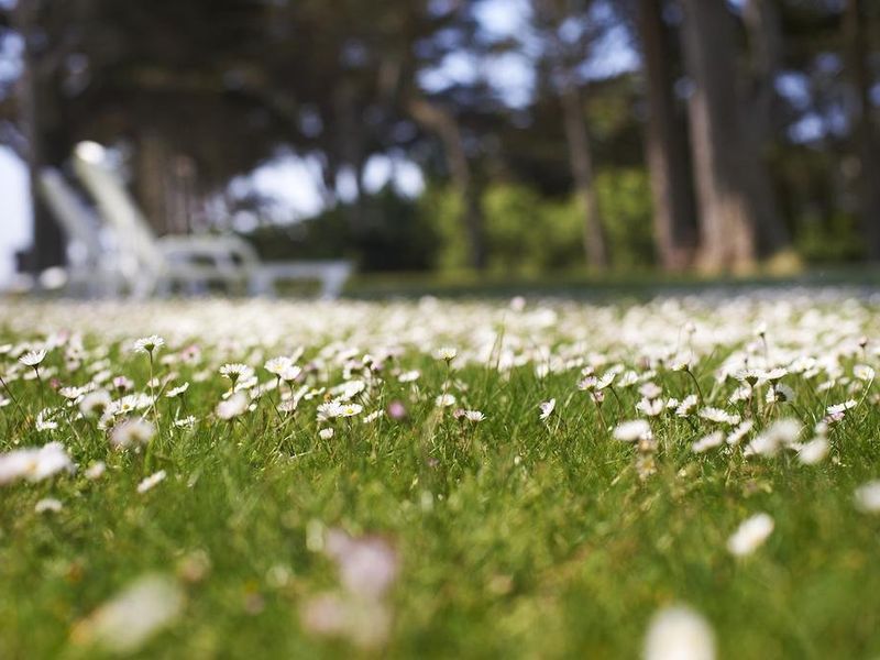 صورة الفندق 19