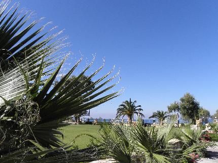 صورة الفندق 19