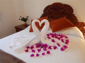 صورة الفندق 8