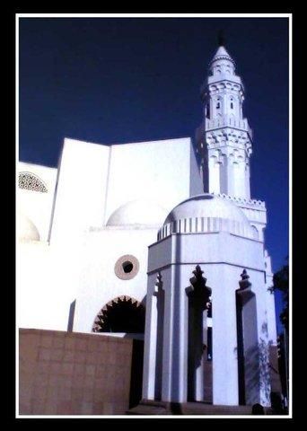 صورة الفندق 19