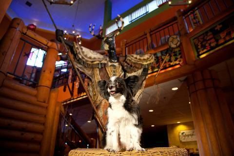 Hotel Photo 18