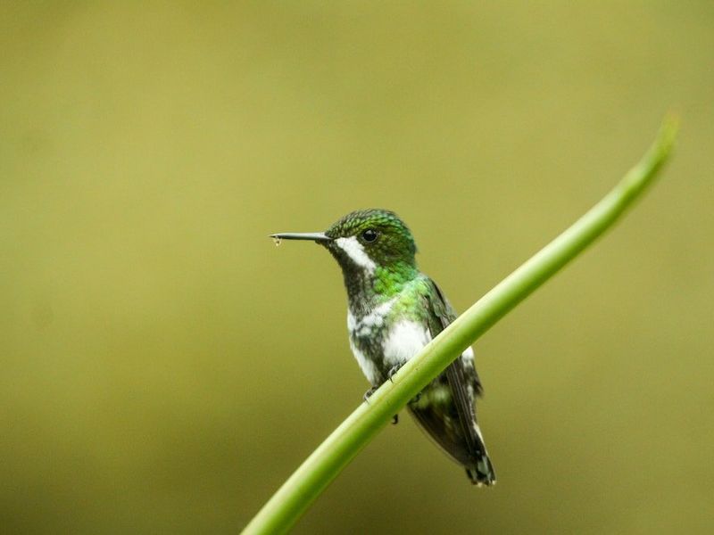 صورة الفندق 9